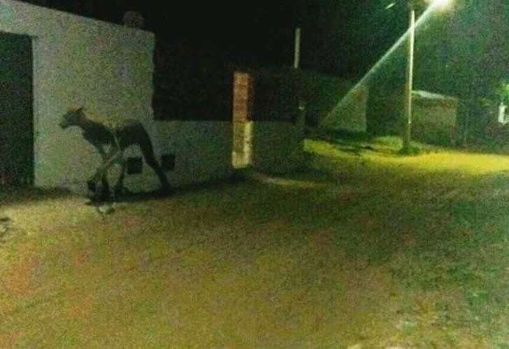¿”El lobizón”en Santa Fe?: las leyendas urbanas más perturbadoras