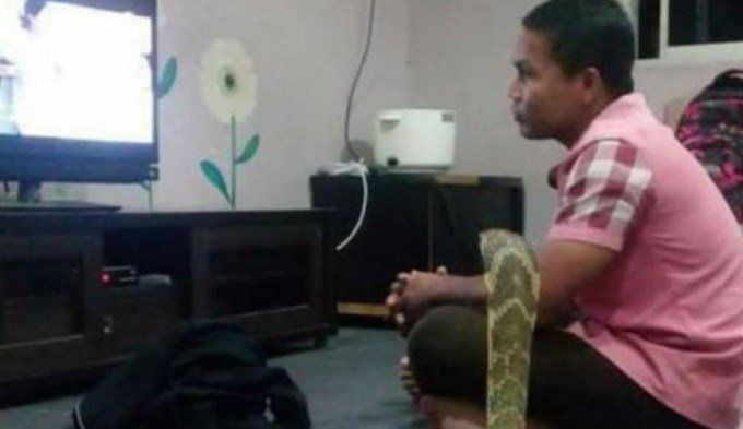 Afirmó que su novia reencarnó en serpiente y se casó con ella