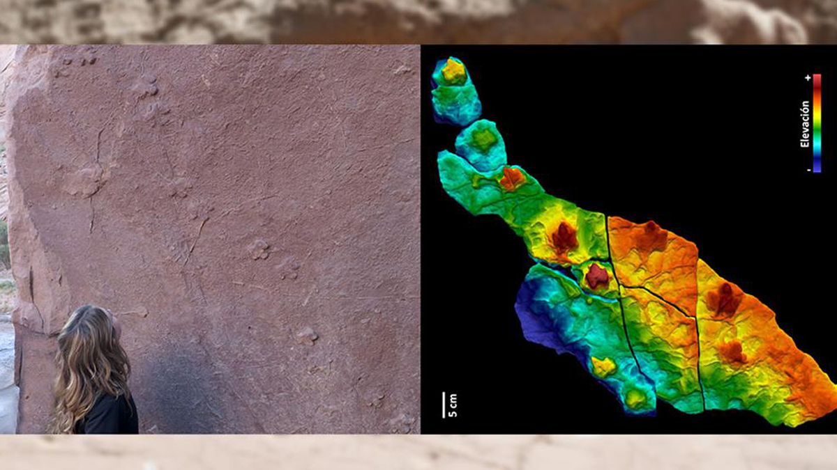 La figura distingue las diferentes alturas del objeto estudiado según el color.