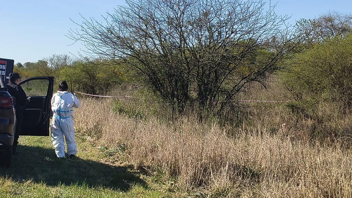 El cuerpo de Strada fue encontrado en un campo de Laguna Paiva. Aún no se conocen los resultados de la autopsia. El cuerpo de Strada fue encontrado en un campo de Laguna Paiva. Aún no se conocen los resultados de la autopsia.