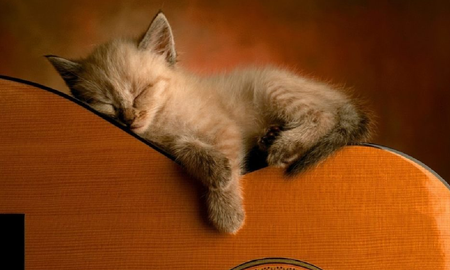 Se trata de música relajante para cuidar a nuestros perros y gatos durante las celebraciones de Navidad y Año Nuevo. Se trata de música relajante para cuidar a nuestros perros y gatos durante las celebraciones de Navidad y Año Nuevo.