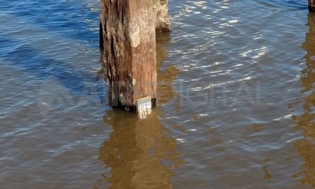 Este miércoles se informó que el río se mantuvo estacionario y no hubo variaciones en las ultimas 24 horas. Este miércoles se informó que el río se mantuvo estacionario y no hubo variaciones en las ultimas 24 horas.