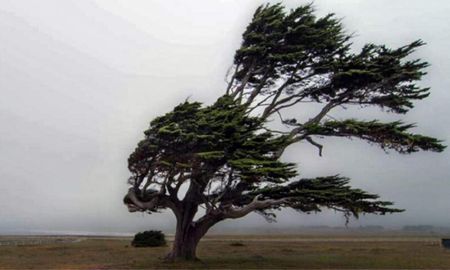 Se esperan ráfagas de más de 90 km/h en las mesetas de Corpen Aike, Güer Aike y Lago Argentino. Se esperan ráfagas de más de 90 km/h en las mesetas de Corpen Aike, Güer Aike y Lago Argentino.