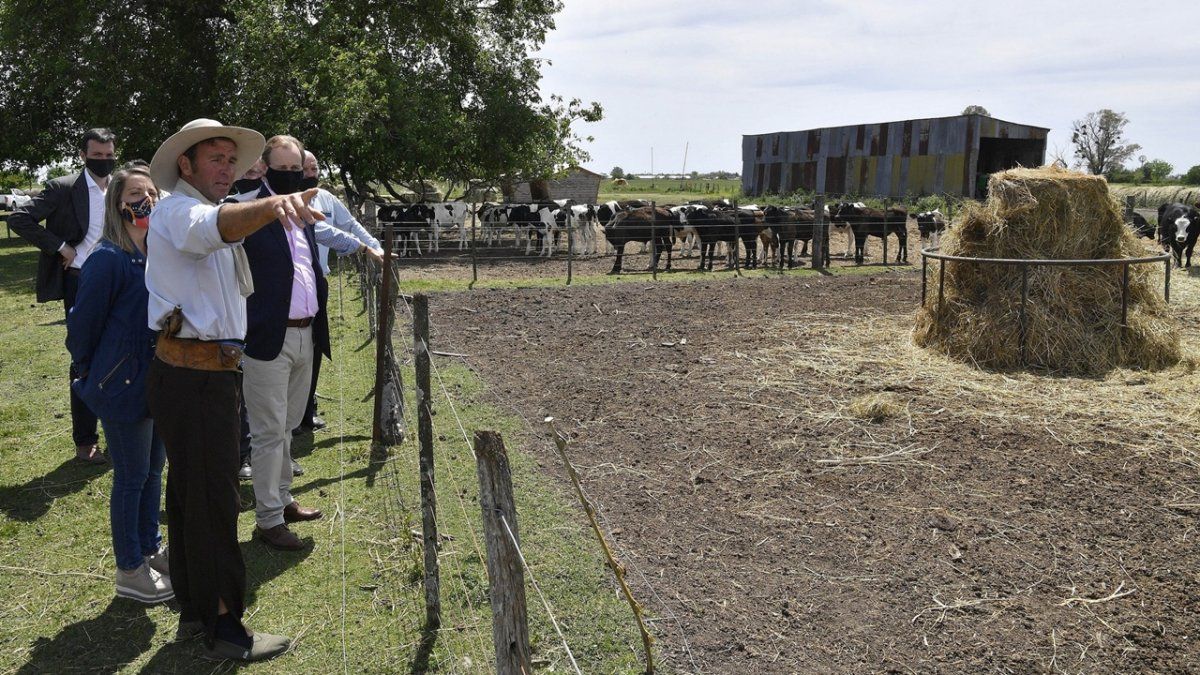 El Plan Ganadero Entrerriano recibió el apoyo de la Federación Agraria y la Sociedad Rural.