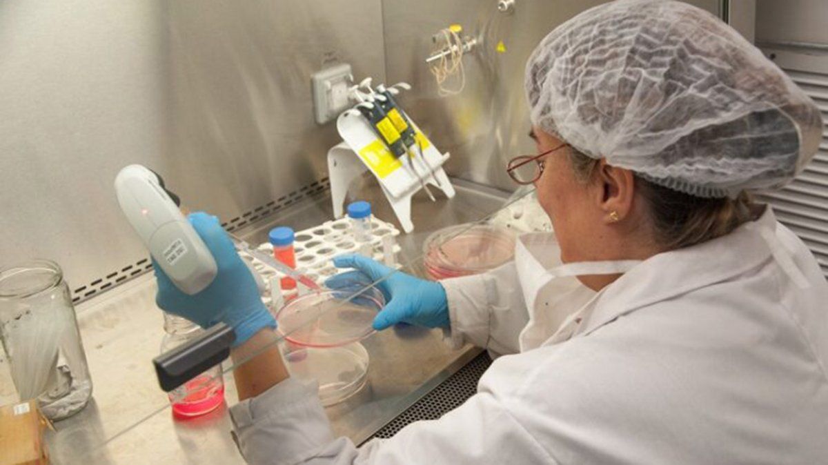 En esta etapa inicial, si bien muy preliminar, los estudios realizados sugieren que la “prueba de concepto” resulta positiva y alienta a seguir el camino iniciado.