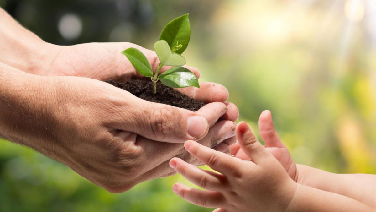 El nodo norte en Tauro nos pide un cambio de consciencia colectiva en estrecho vínculo con la naturaleza.