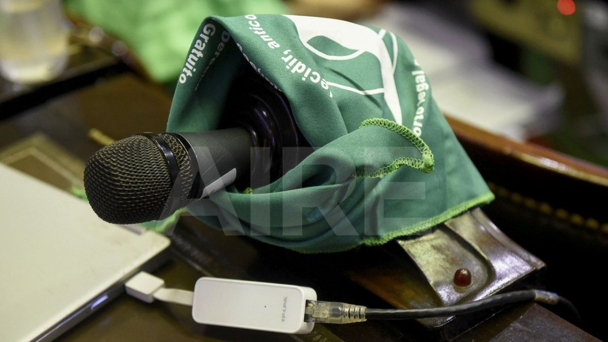 El Frente de Todos aportó la mayoría de los votos para darle media sanción al proyecto IVE.