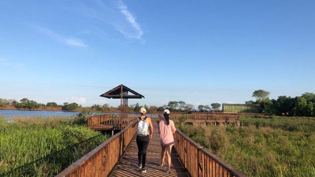 El Iberá ofrece una de las experiencias naturales más completas del país, con fauna y paisajes únicos.