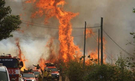 En la zona trabajan varias brigadas de bomberos. En la zona trabajan varias brigadas de bomberos.