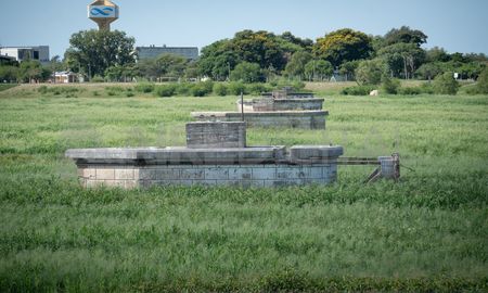 Prefectura confirmó que no participará de la remoción de la vegetación en la Laguna Setúbal. Prefectura confirmó que no participará de la remoción de la vegetación en la Laguna Setúbal.