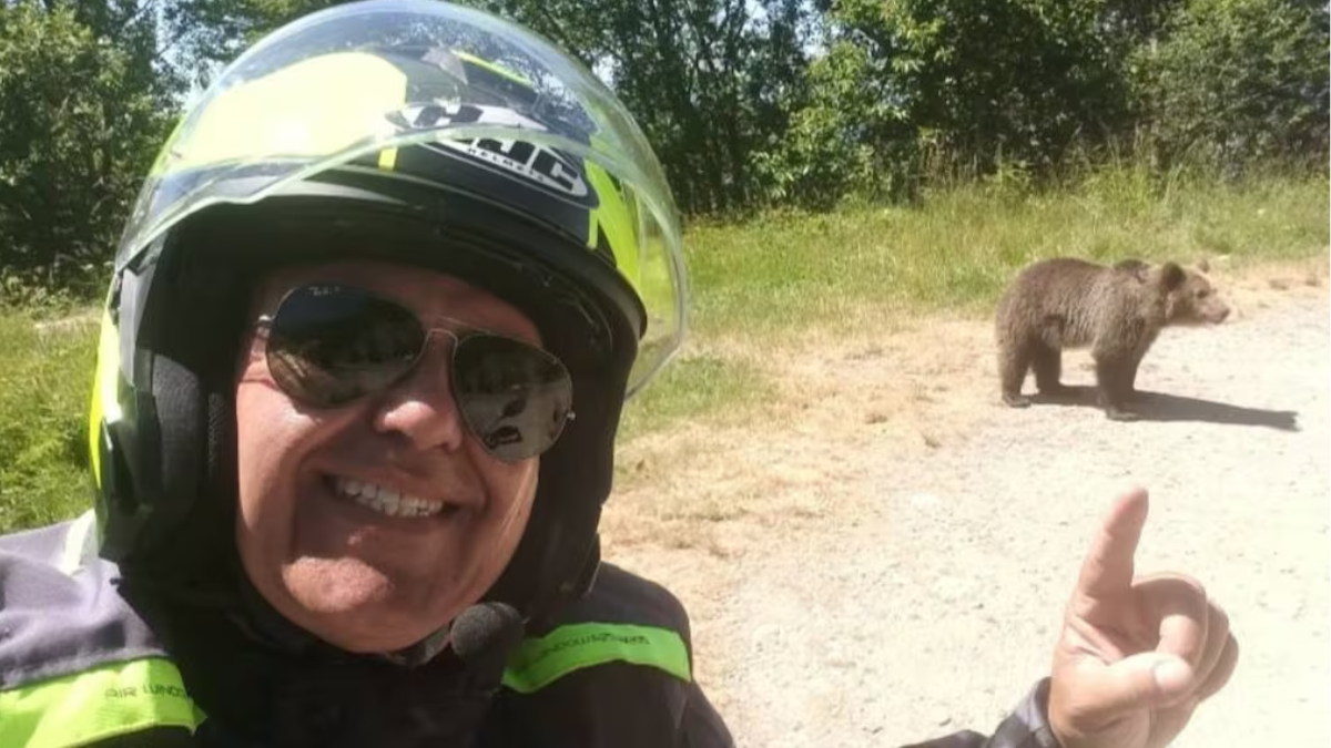 ¡Qué bello animal!: el último video del turista que murió tras ser devorado por un oso en Rumania