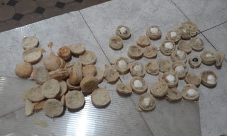 El personal encontró el material estupefaciente oculto en los bizcochos que quiso ingresar el interno. El personal encontró el material estupefaciente oculto en los bizcochos que quiso ingresar el interno.