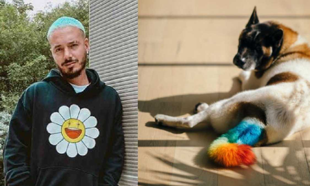 J Balvin le pintó la cola a su perro y lo mataron en las redes sociales: lo acusan de maltrato animal J Balvin le pintó la cola a su perro y lo mataron en las redes sociales: lo acusan de maltrato animal