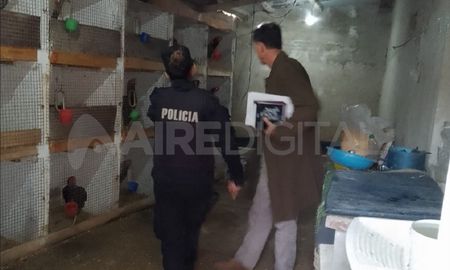 Policías inspeccionaron la vivienda y encontraron los corrales en donde estaban las aves. Policías inspeccionaron la vivienda y encontraron los corrales en donde estaban las aves.