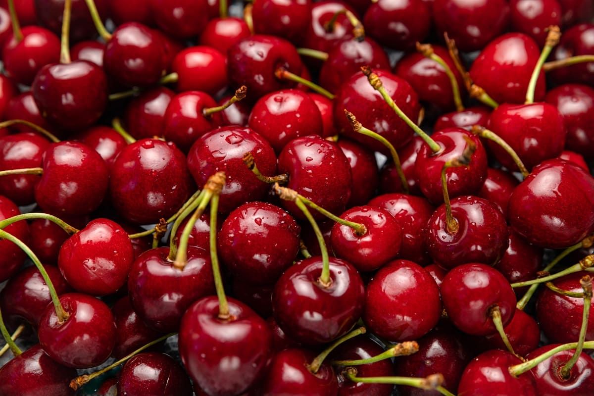 Las cerezas son una delicia de la naturaleza que puede llevar la frescura y el sabor a tu almuerzo. Las cerezas son una delicia de la naturaleza que puede llevar la frescura y el sabor a tu almuerzo.
