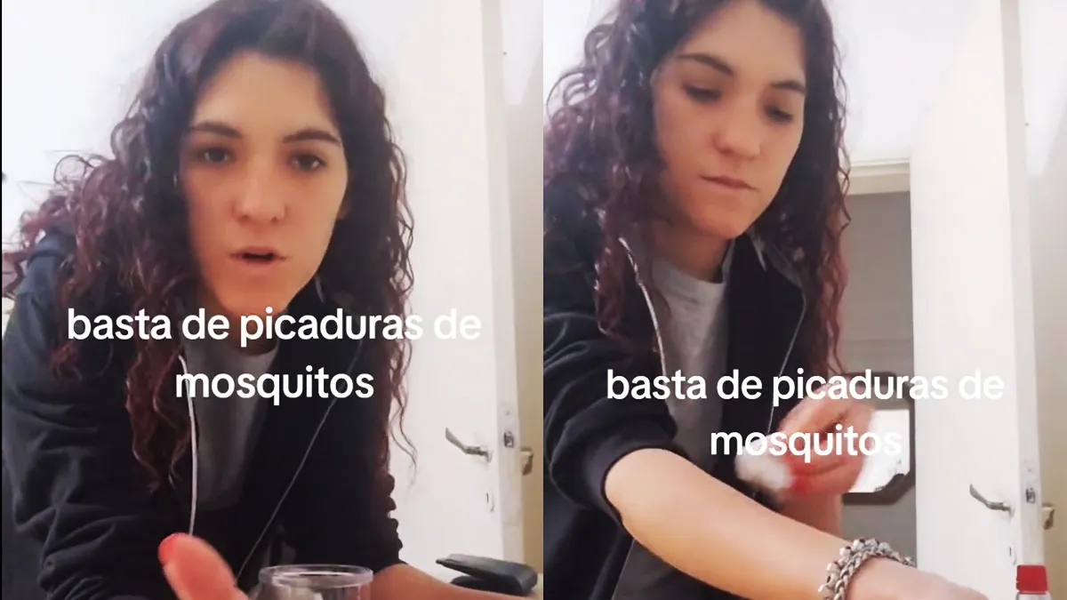 El truco definitivo alejar los mosquitos. El truco definitivo alejar los mosquitos.