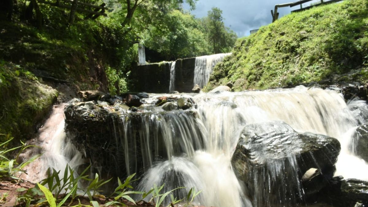 Más allá de las aguas termales, el Balneario La Toma invita a recorrer senderos que atraviesan la densa selva tucumana. Más allá de las aguas termales, el Balneario La Toma invita a recorrer senderos que atraviesan la densa selva tucumana.