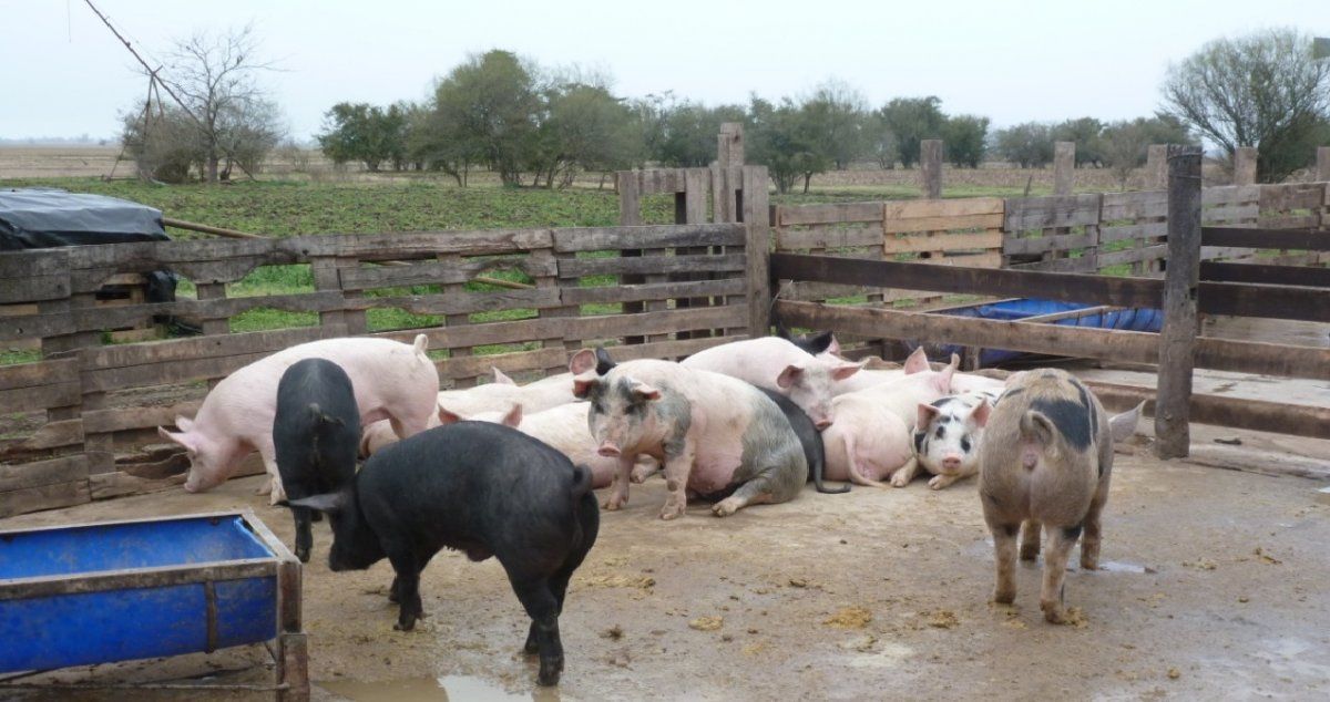 Horror en Uruguay: asesinó a un hombre tras una discusión