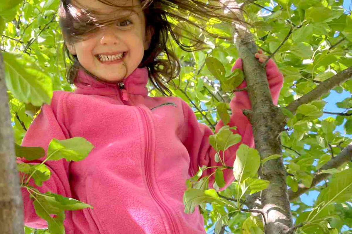 Delaney Krings cumplió 5 años el 16 de diciembre pasado.