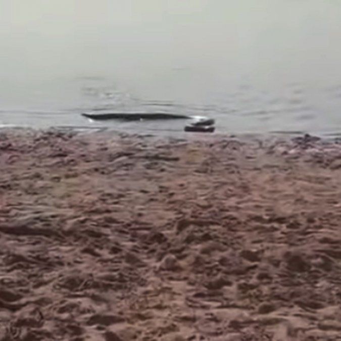 Una anaconda generó temor en un balneario de Entre Ríos