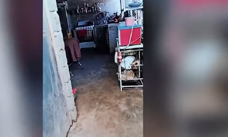 Video viral: mujer muestra orgullosa su casa humilde y se vuelve furor en las redes sociales. Video viral: mujer muestra orgullosa su casa humilde y se vuelve furor en las redes sociales.