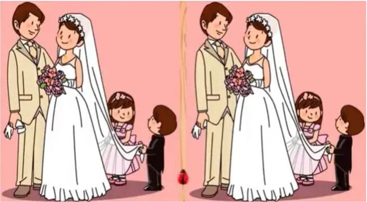 Reto visual: encontrá las diferencias.