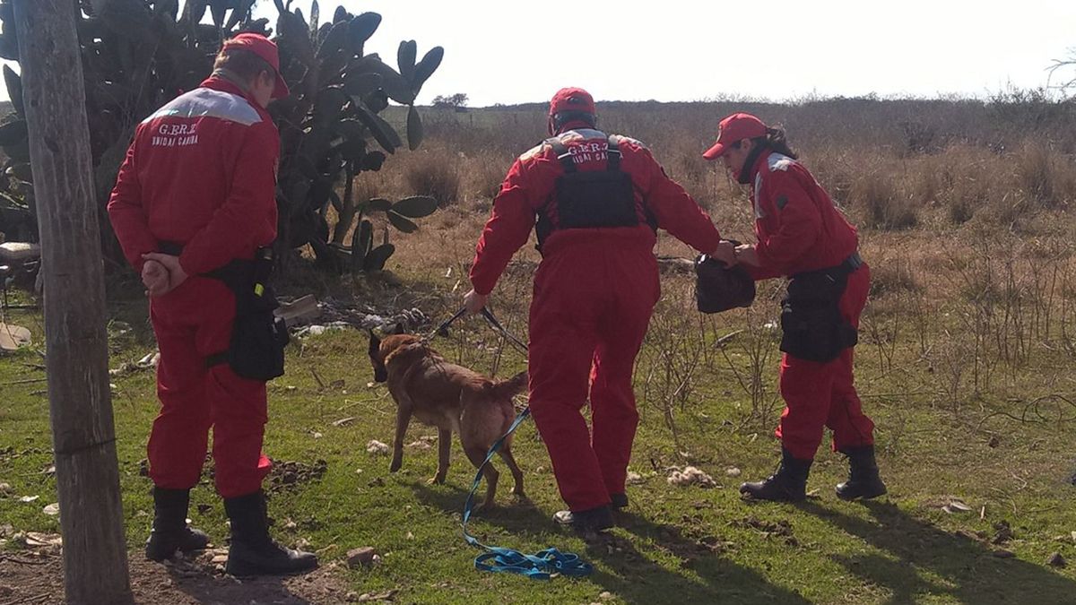 Uno de los rastrillajes realizados por Bomberos en la zona de Ceres y Montefiore. 