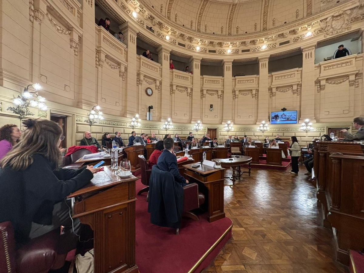Este viernes, luego de retomar el cuarto intermedio establecido en la reunión de este jueves, el frente Unidos para Cambiar Santa Fe y La Libertad Avanza dieron ingreso a sus respectivos dictámenes.
