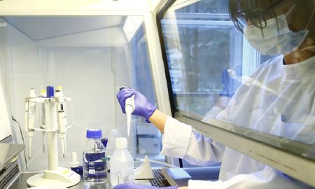 una compania farmaceutica asegura tener un anticuerpo para proteger a las celulas del coronavirus una compania farmaceutica asegura tener un anticuerpo para proteger a las celulas del coronavirus