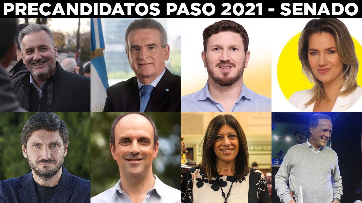 Los candidatos a senador nacional de los tres frentes más importantes se dirimirán mediante internas. 