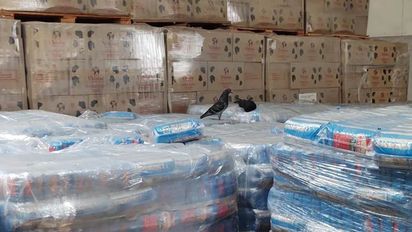 Nueva denuncia contra el Gobierno de Javier Milei por dejar vencer alimentos en depósitos