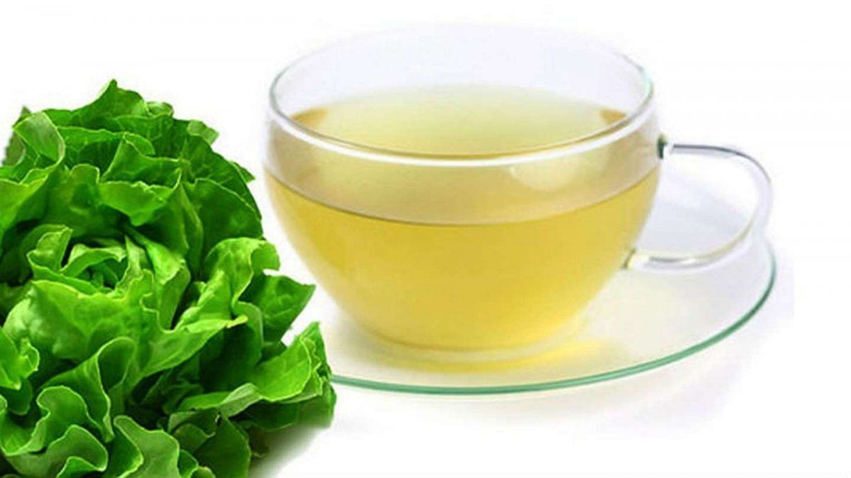 Infusión de lechuga