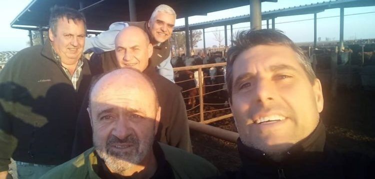 Quiénes ganan y quiénes pierden con el nuevo peso mínimo de faena