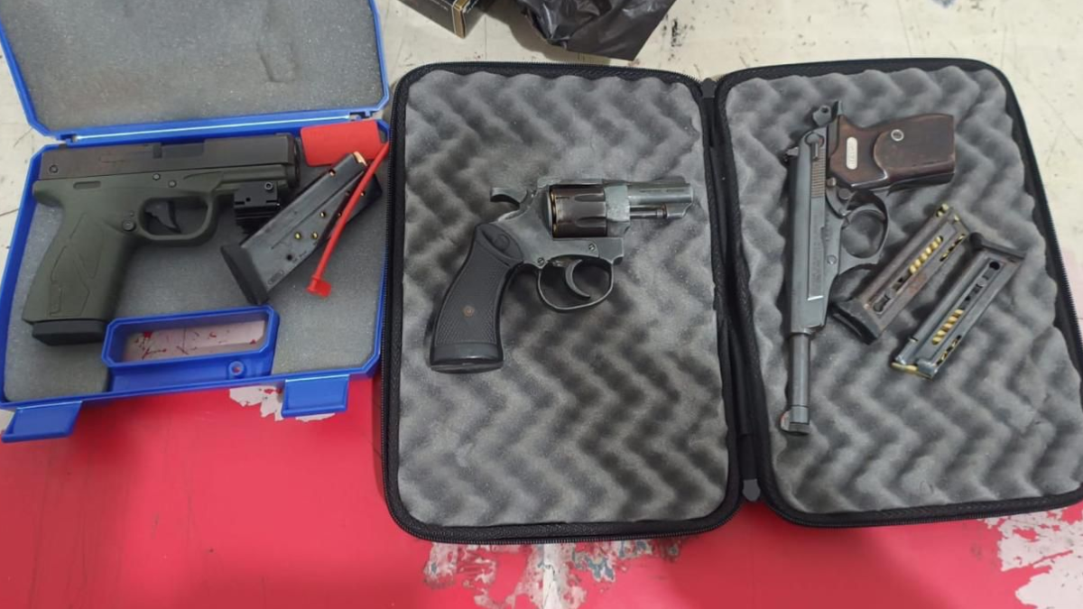 Del total de armas confiscadas, 12 fueron secuestradas en ocho procedimientos realizados por la Agrupaci&oacute;n Cuerpos de la Unidad Regional I. &nbsp;