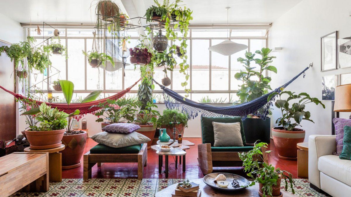 Feng Shui: las 8 plantas que tenés que tener (¡y las que no!) para atraer buena energía