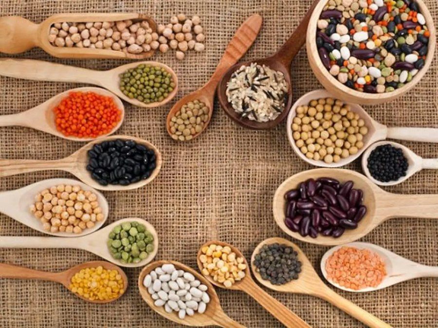 Semillas para incorporar proteína vegetal de manera aludable.