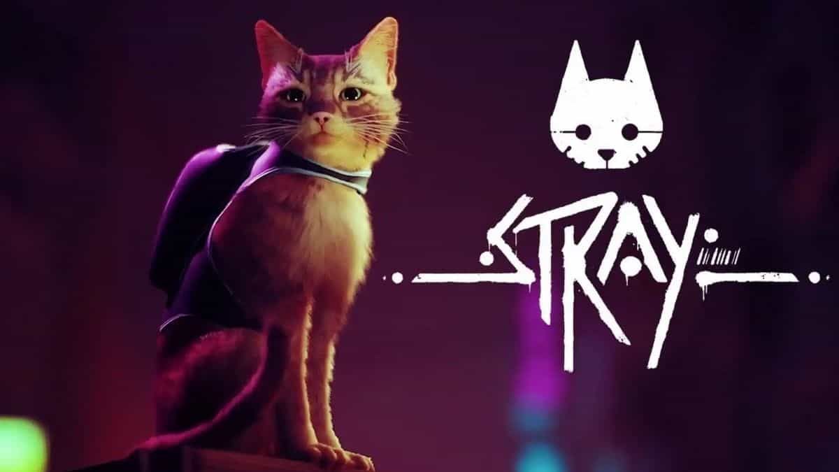 Stray: el juego en el que te convertirás en un gato estará en PlayStation y PC.