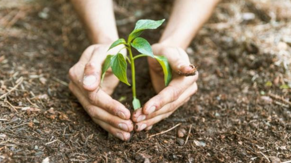 El evento organizado conjuntamente por la Provincia con el CFI, busca constituirse como una instancia de jerarquía referencial, anual y federal que contribuya a transformar a la bioeconomía en una política de Estado.