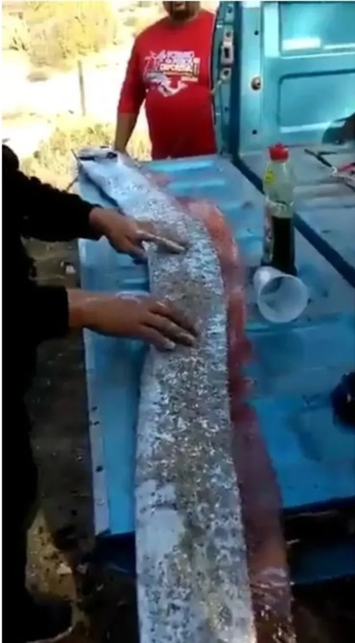 En Japón es promulgada esta creencia por la leyenda de Namazu.