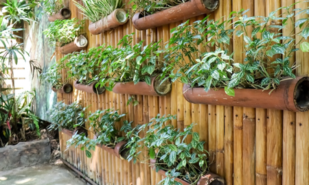 jardin vertical sustentable: como crear macetas con botellas de plastico jardin vertical sustentable: como crear macetas con botellas de plastico