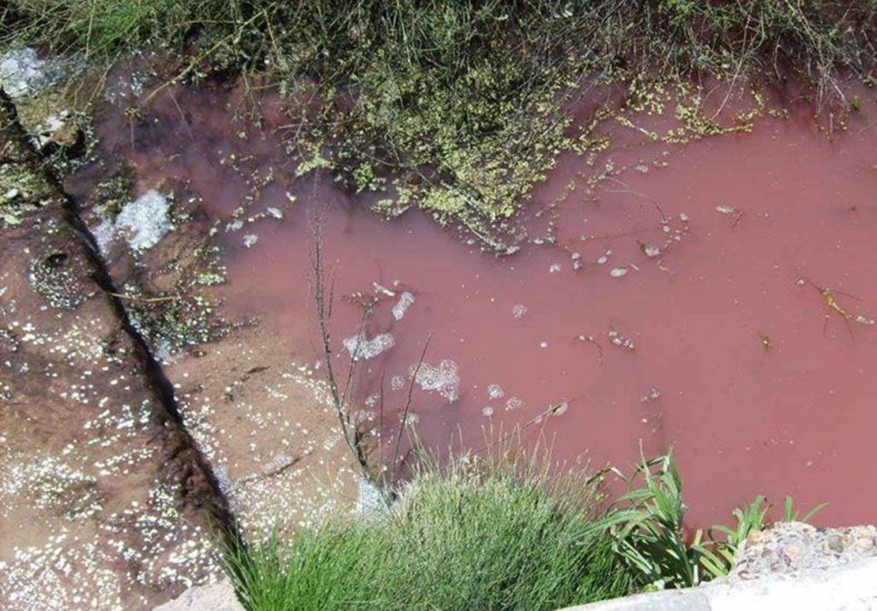 La empresa vertía los residuos industriales sin tratamiento en una corriente de agua que desembocaba en el río Paraná