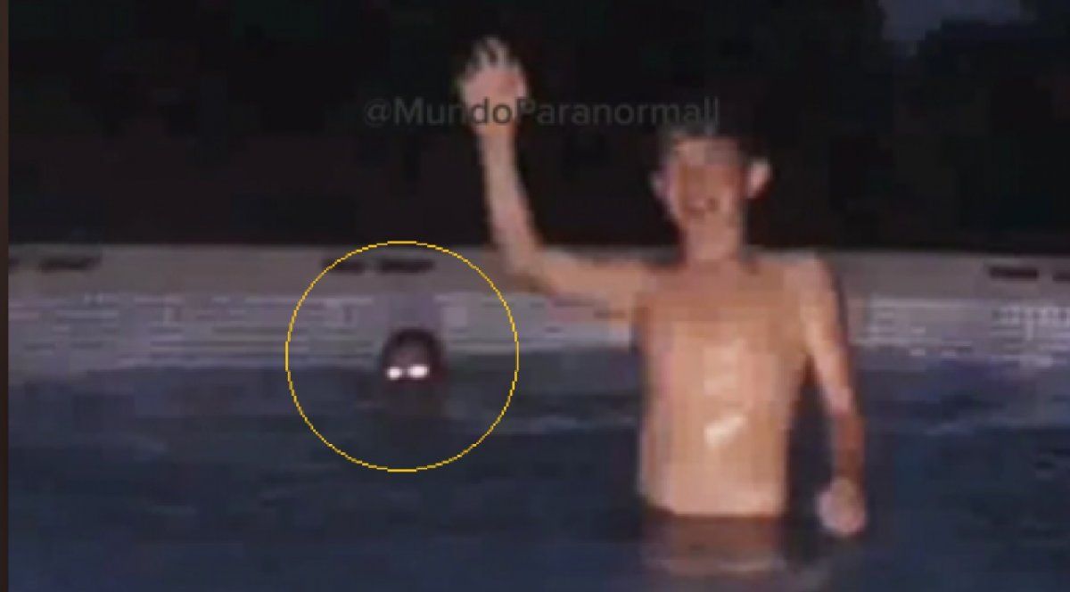 Estremecedor: estaba en la pileta