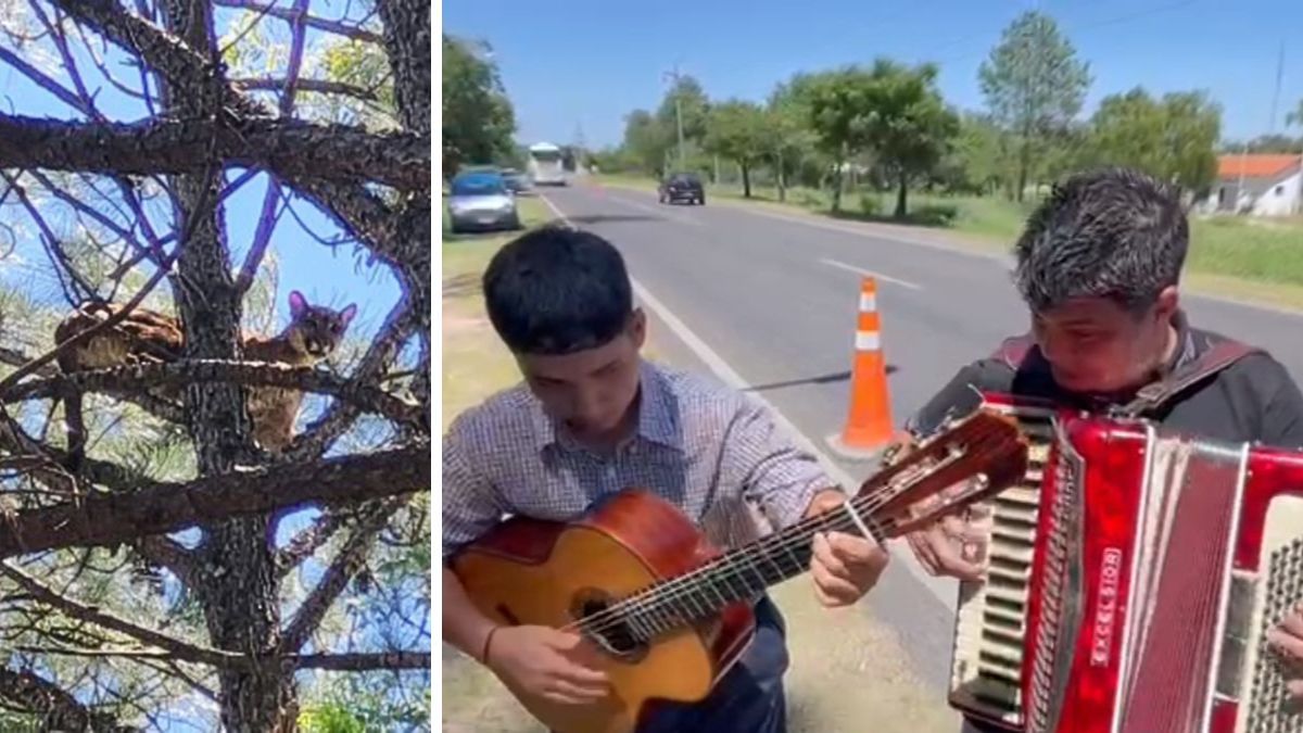 José Yossen y su conjunto cantó al costado de la ruta.
