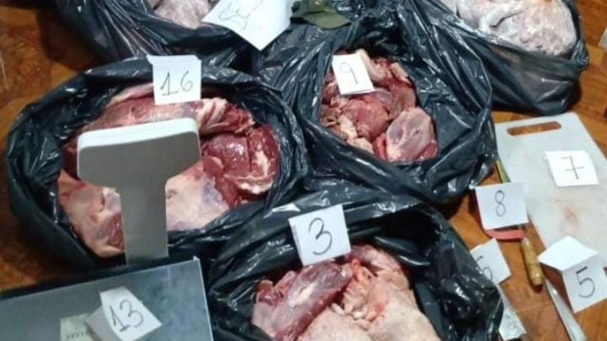En el procedimiento secuestraron 160 kilos de carne, cuchillos, sierras y balanzas.