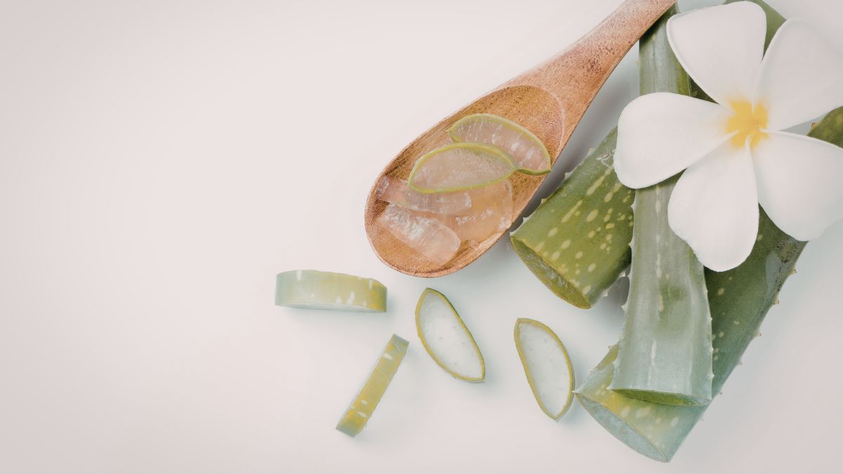 La crema de aloe vera casera es una alternativa natural para hidratar y cuidar la piel todos los días.