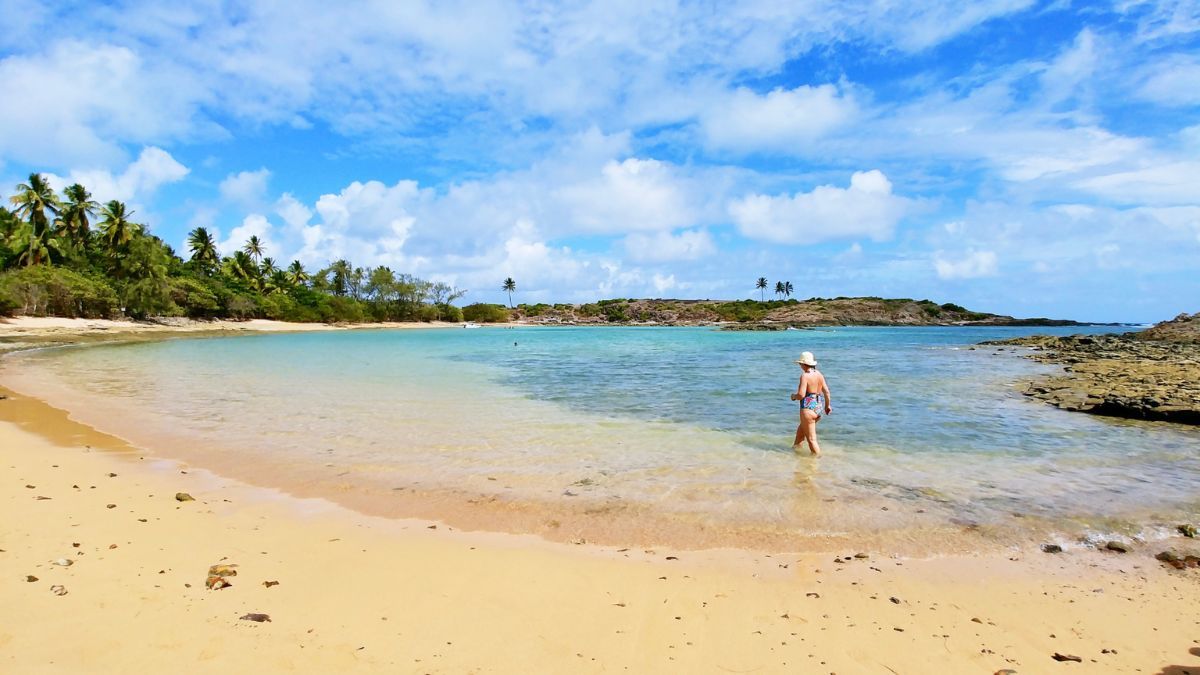 Ubicada a solo 50 kilómetros de Porto de Galinhas, Praia dos Carneiros es famosa por su icónica capilla de San Benito y sus bancos de arena que emergen en marea baja. Ubicada a solo 50 kilómetros de Porto de Galinhas, Praia dos Carneiros es famosa por su icónica capilla de San Benito y sus bancos de arena que emergen en marea baja.