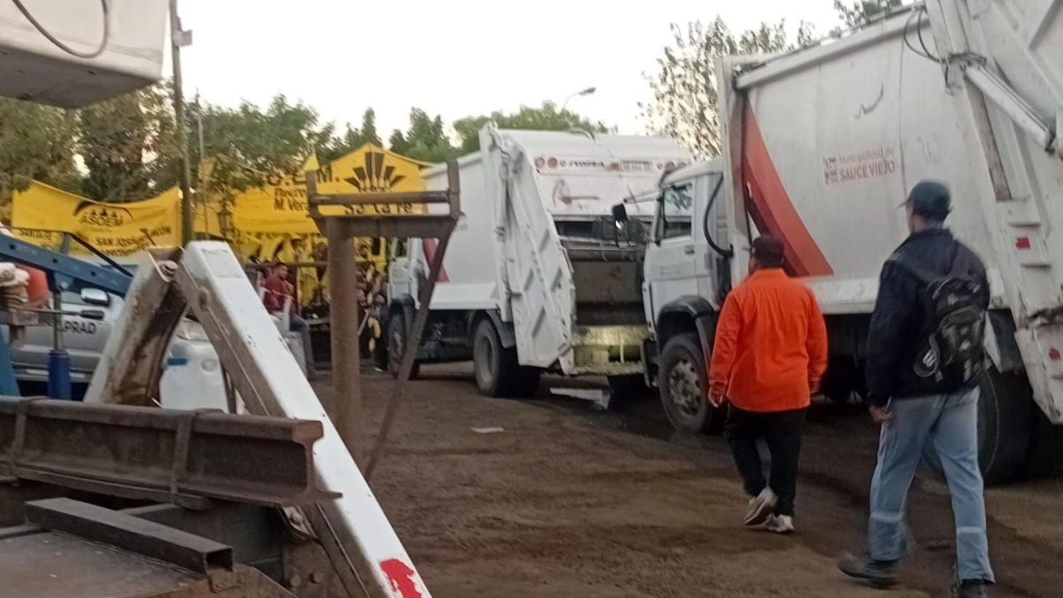 Papaleo denunció destrozos