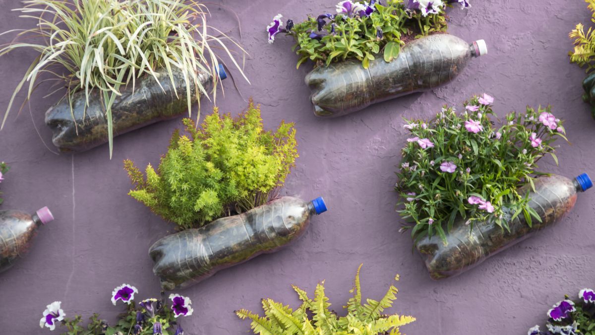Una huerta con botellas recicladas es una alternativa sustentable. Una huerta con botellas recicladas es una alternativa sustentable.