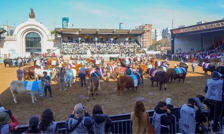 la expo rural de palermo cerro sin anuncios, pero con cifras record y fuerte movimiento de negocios