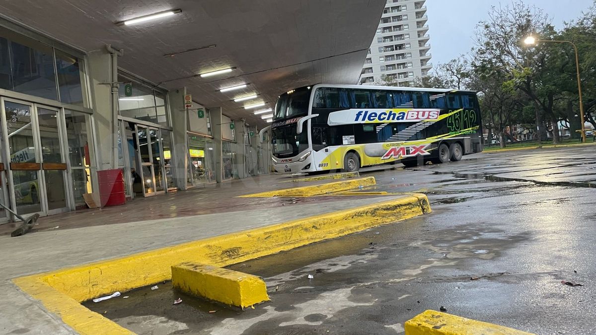 Paro de colectivos: las líneas que realizan trayectos de larga distancia funcionan con normalidad